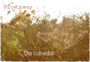 blow away the cobwebs2